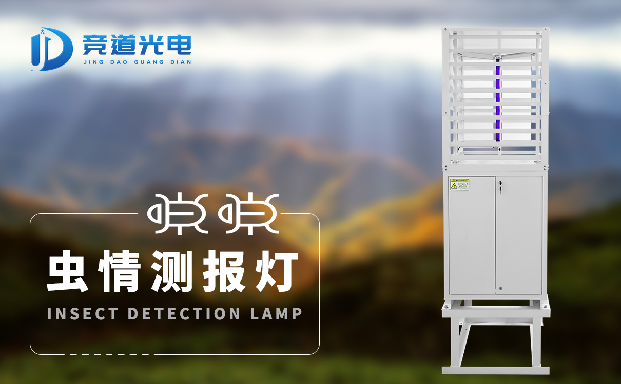 ����ⱨ��