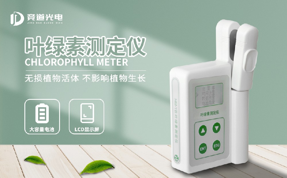 使用叶绿素测定仪把握植物成长情况