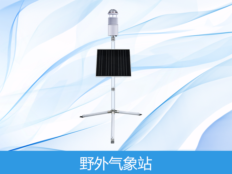  野表形象监测系统