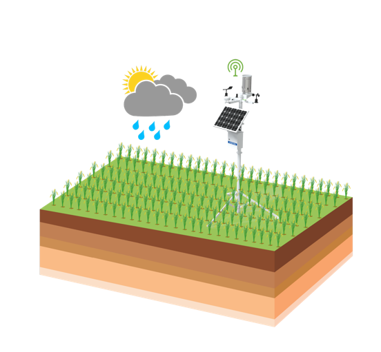 Ǯ��qg777(�й���)Ψһ�ٷ���վ