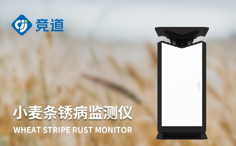 幼麦条锈病监测仪提升幼麦病害治理能力