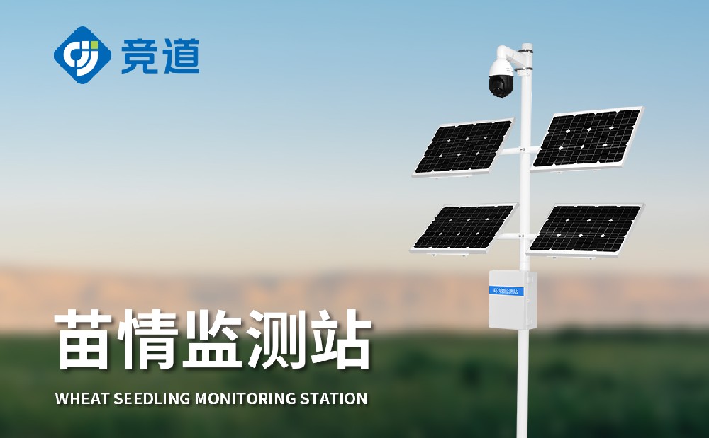 ֲ��ɳ�������̺���Щ����