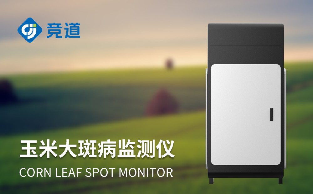 ���״�߲������¼��������״�߲����������������������