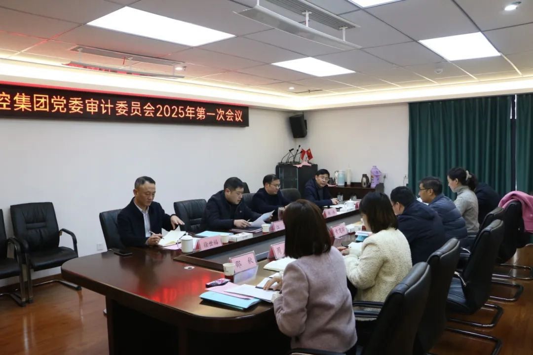 市88038威尼斯集团召开党委审计委员会2025年第一次聚会