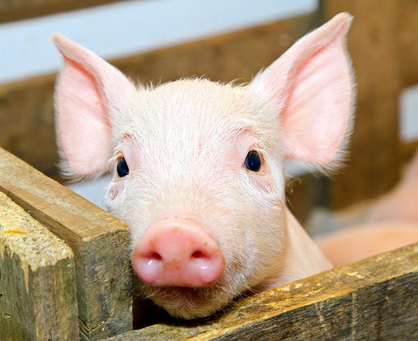 �����������������Щ�ͺ���