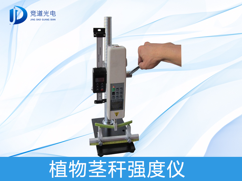 Ϊʲô����ֲ�ﾥ��ǿ����