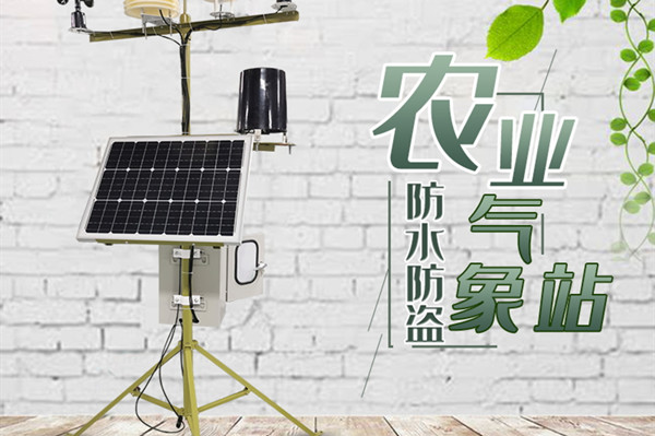 �������վ�ĳ�Ҫ��