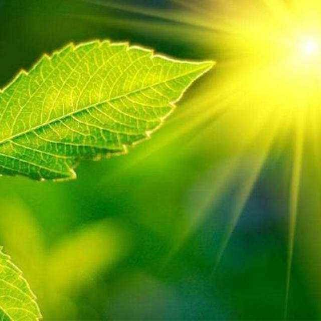 ��Яʽ��Ͽ�����