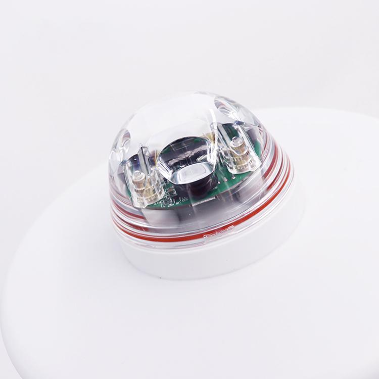 2021�곬�������������ͺ��г���ֵ