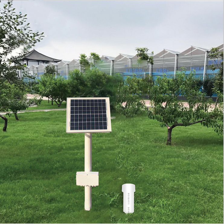 ��ʽ���������������������