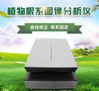 ֲ���ϵ����ϵͳ�ƽ�ֲ��ɳ�