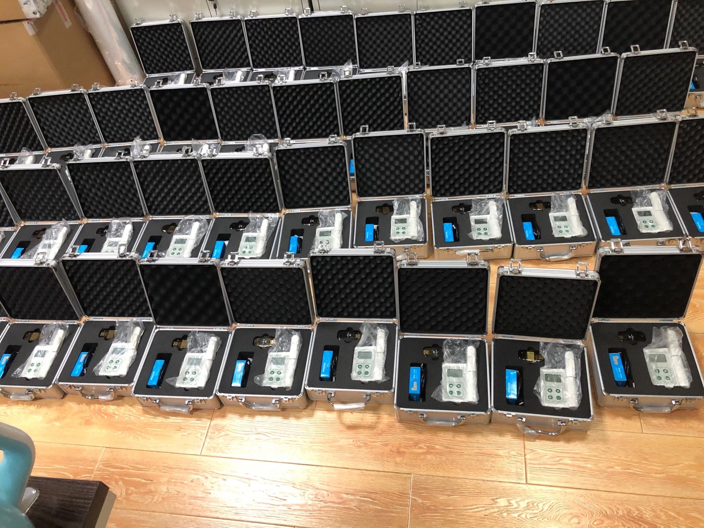 �ֳ�ʽҶ���زⶨ�Ǿ������