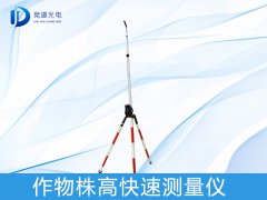 �������������ʲô����������������