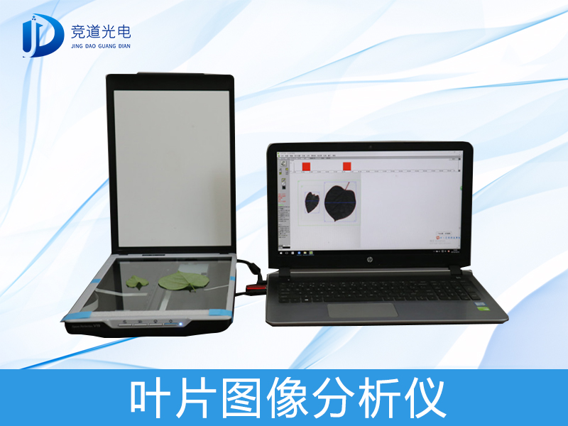 ҶƬͼ�����