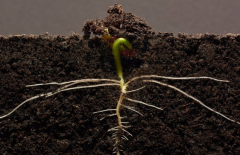 ΪʲôҪ���������л��ʼ����