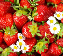 ΢����ũ�м���Ǽ��ũ���¼���