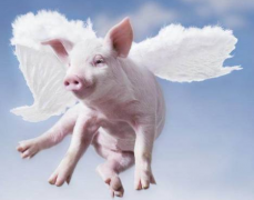 ���������׻������÷��������ļ�⹤����